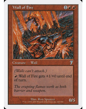 Magic: The Gathering Wall of Fire (227) Lightly Played