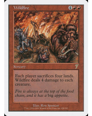 Magic: The Gathering Wildfire (228) Lightly Played