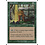 Magic: The Gathering Elder Druid (238) Lightly Played