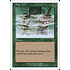Magic: The Gathering Fog (245) Lightly Played