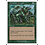 Magic: The Gathering Monstrous Growth (258) Lightly Played