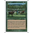 Magic: The Gathering Rowen (266) Lightly Played