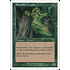 Magic: The Gathering Shanodin Dryads (269) Lightly Played Foil