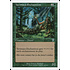 Magic: The Gathering Yavimaya Enchantress (285) Lightly Played