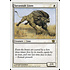 Magic: The Gathering Savannah Lions (043) Moderately Played