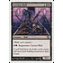 Magic: The Gathering Carrion Wall (121) Lightly Played