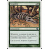 Magic: The Gathering Fecundity (247) Lightly Played