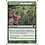 Magic: The Gathering Fertile Ground (248) Lightly Played