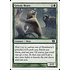 Magic: The Gathering Grizzly Bears (256) Lightly Played