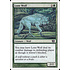 Magic: The Gathering Lone Wolf (262) Moderately Played