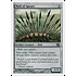 Magic: The Gathering Wall of Spears (320) Lightly Played