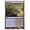 Magic: The Gathering Salt Marsh (325) Lightly Played