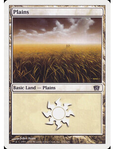 Magic: The Gathering Plains (331) Moderately Played