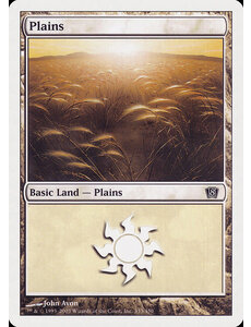 Magic: The Gathering Plains (333) Lightly Played