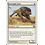 Magic: The Gathering Savannah Lions (041) Lightly Played