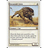 Magic: The Gathering Savannah Lions (041) Lightly Played