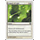 Magic: The Gathering Tempest of Light (050) Moderately Played