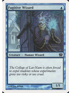 Magic: The Gathering Fugitive Wizard (080) Lightly Played