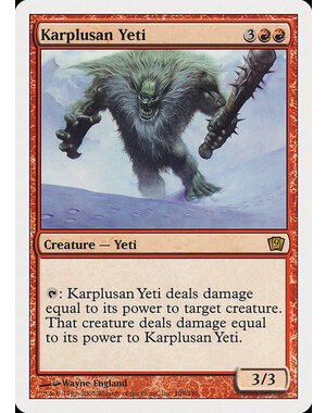 Magic: The Gathering Karplusan Yeti (198) Moderately Played