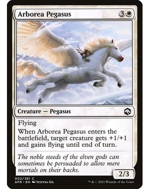 Magic: The Gathering Arborea Pegasus (002) Lightly Played Foil