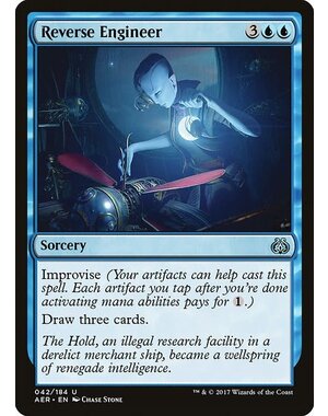 Magic: The Gathering Reverse Engineer (042) Lightly Played