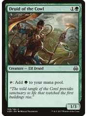 Magic: The Gathering Druid of the Cowl (106) Moderately Played Foil