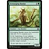 Magic: The Gathering Scrounging Bandar (124) Moderately Played Foil