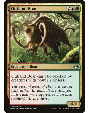 Magic: The Gathering Outland Boar (132) Lightly Played