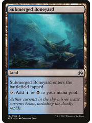 Magic: The Gathering Submerged Boneyard (194) Lightly Played