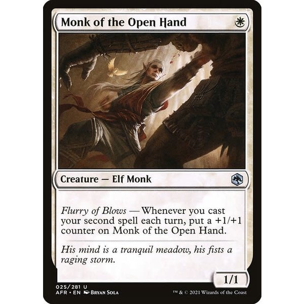 Magic: The Gathering Monk of the Open Hand (025) Near Mint