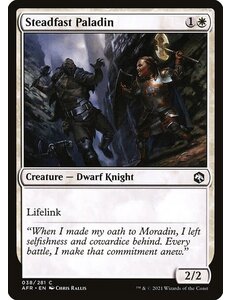 Magic: The Gathering Steadfast Paladin (038) Near Mint Foil
