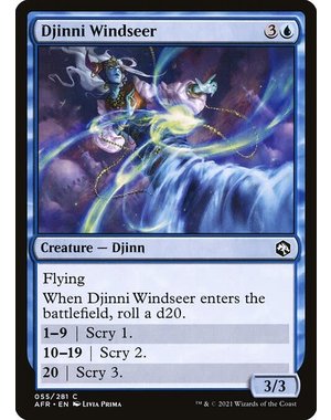 Magic: The Gathering Djinni Windseer (055) Near Mint Foil