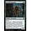 Magic: The Gathering Intrepid Outlander (191) Near Mint