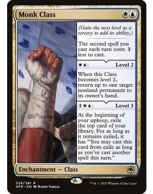 Magic: The Gathering Monk Class (228) Near Mint