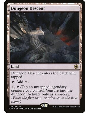 Magic: The Gathering Dungeon Descent (255) Near Mint