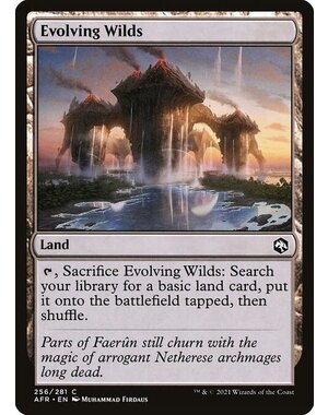 Magic: The Gathering Evolving Wilds (256) Lightly Played
