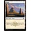 Magic: The Gathering Plains (263) Near Mint Foil