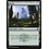Magic: The Gathering Forest (278) Near Mint Foil