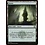Magic: The Gathering Forest (280) Lightly Played