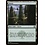 Magic: The Gathering Forest (281) Near Mint Foil