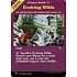 Magic: The Gathering Evolving Wilds (Dungeon Module) (353) Near Mint