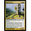 Magic: The Gathering Pale Recluse (074) Moderately Played