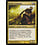 Magic: The Gathering Grixis Grimblade (134) Moderately Played