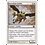 Magic: The Gathering Razorfoot Griffin (036) Lightly Played Foil