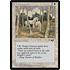 Magic: The Gathering Noble Steeds (Trees in Forefront) (11a) Lightly Played