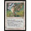 Magic: The Gathering Wild Aesthir (21a) Lightly Played