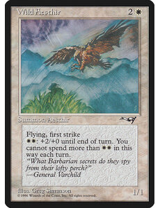 Magic: The Gathering Wild Aesthir (Blue Mountains) (21b) Moderately Played