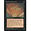 Magic: The Gathering Insidious Bookworms (Single) (51b) Moderately Played