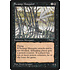 Magic: The Gathering Swamp Mosquito (Fallen Tree) (63a) Heavily Played