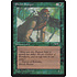 Magic: The Gathering Elvish Ranger (Male) (88b) Moderately Played